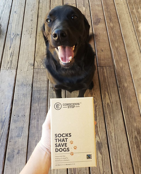 Socks box for dog lovers