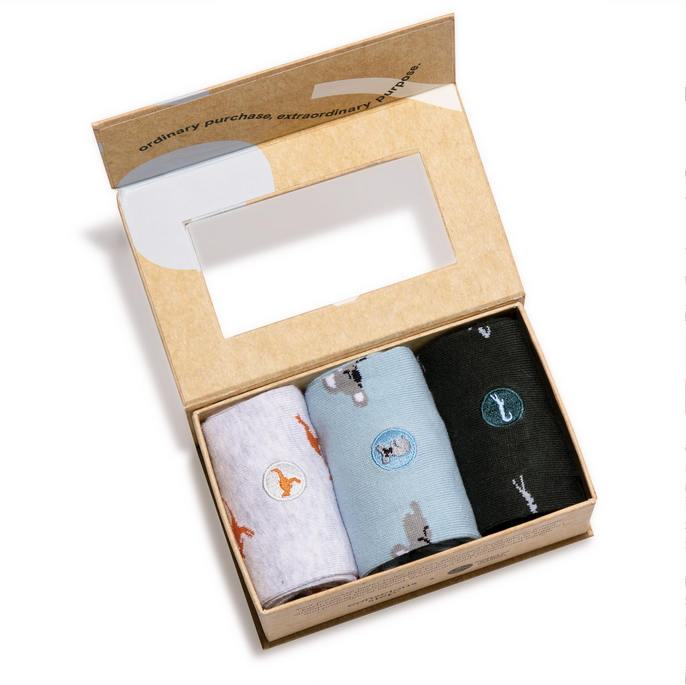 Socks box with social impact - Essentials Collection